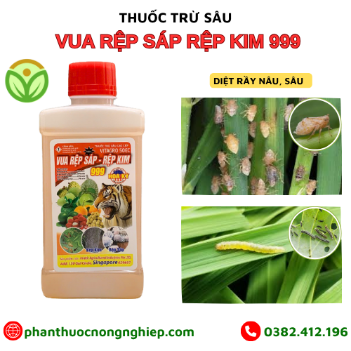 VUA RỆP SÁP RỆP KIM 999 VUA RỆP SÁP RỆP KIM 999