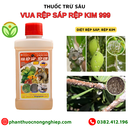 VUA RỆP SÁP RỆP KIM 999 VUA RỆP SÁP RỆP KIM 999